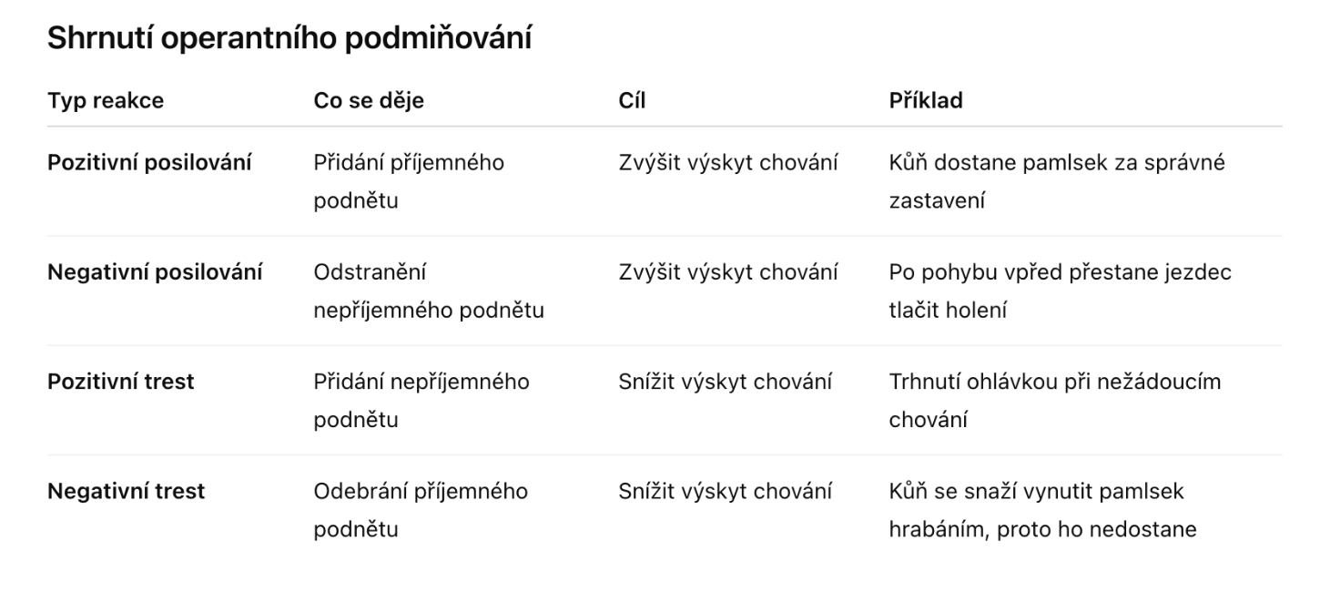 učení_koní_1